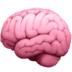 :brain: :brain: