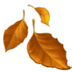 :fallen_leaf: :fallen_leaf: