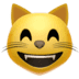 :smile_cat: :smile_cat: